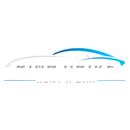 www.rinadrive.com logo